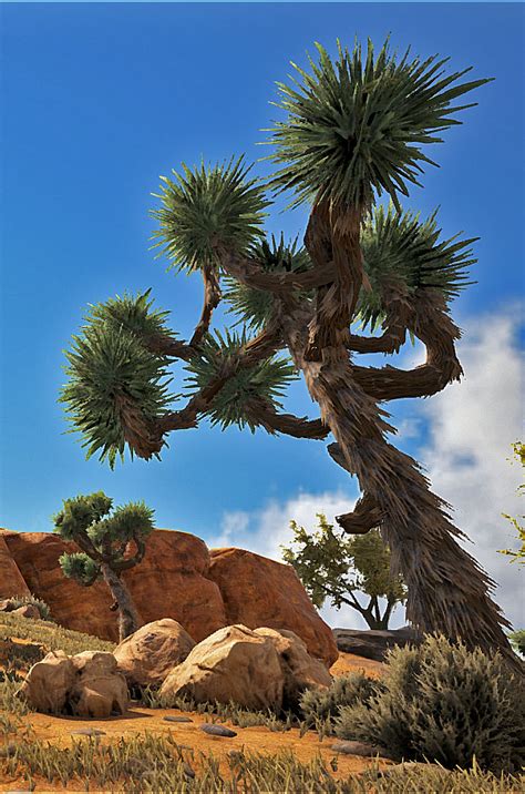 ark joshua tree